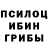 Псилоцибиновые грибы MAGIC MUSHROOMS Nazokat Machonova