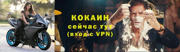 прущие грибы Куйбышев