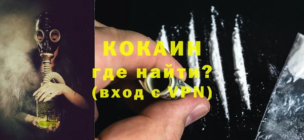 прущие грибы Куйбышев