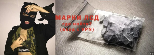 прущие грибы Куйбышев