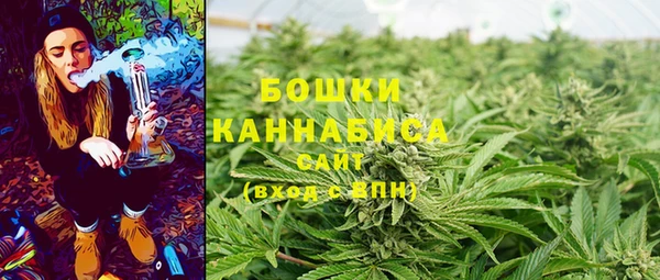 прущие грибы Куйбышев