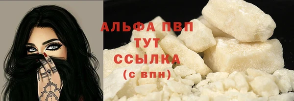 прущие грибы Куйбышев