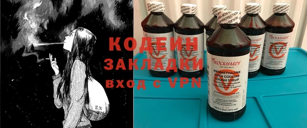 прущие грибы Куйбышев