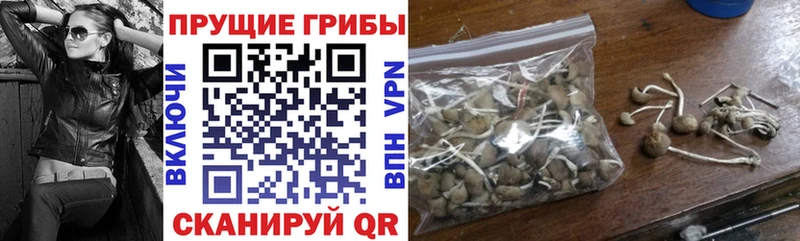 Галлюциногенные грибы Psilocybe  Купить  Рязань 